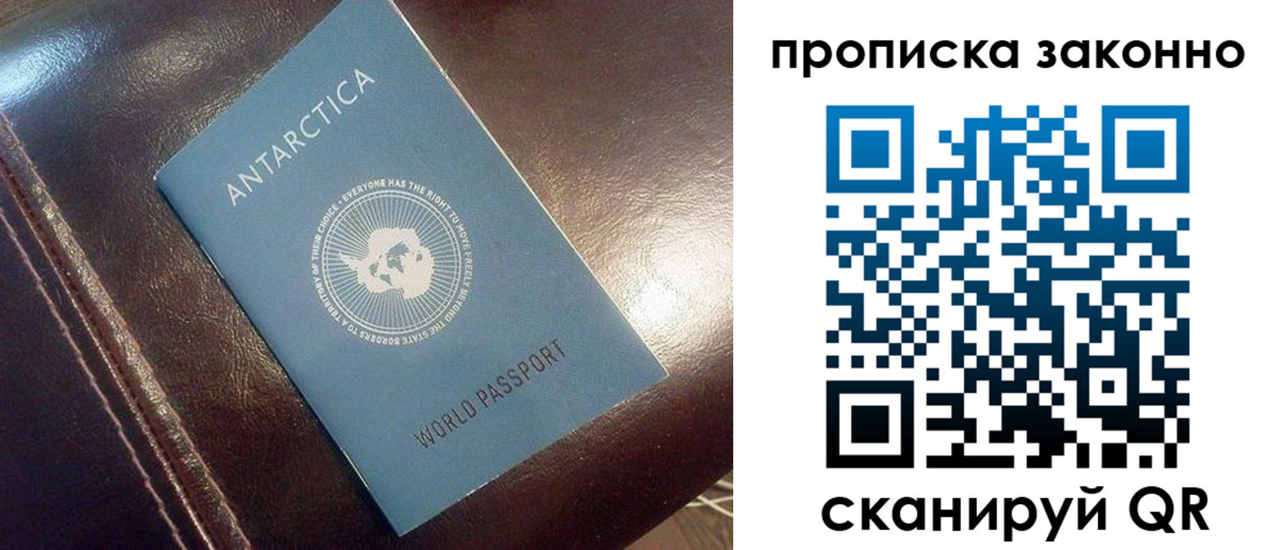 временная регистрация в Камышине